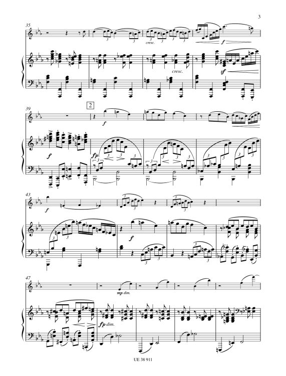 johannes-brahms-sonate-op-120-2-es-dur-fl-pno_0004.jpg