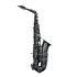 alt-saxophon-selmer-supreme-2025-limited-edition-s_0001.jpg