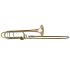 tenorposaune-shires-trubore-lackiert-gold_0001.jpg
