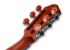 guitare-classique-furch-modele-gnc-4-sr-eas-vtc-na_0010.jpg