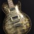 guitare-electrique-aria-modele-pe-480-hh-sbk-_0003.jpg