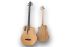akustikbass-furch-modell-bc-61-cm4-eas-vtc-natural_0002.jpg