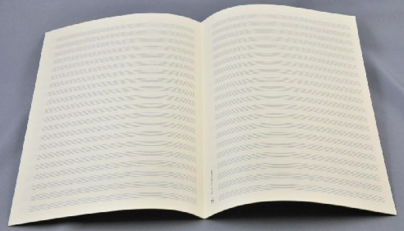 notenpapier-20-systeme-lagen-_20-systeme-a4-210x29_0001.JPG