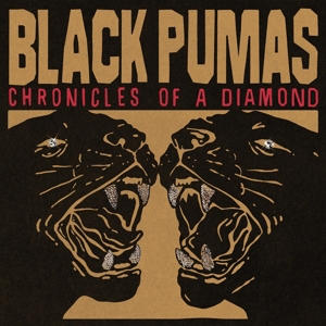 chronicles-of-a-diamond-black-pumas-ato-records-cd_0002.JPG