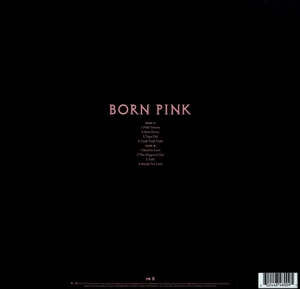 born-pink-transparent-black-ice-vinyl-blackpink-in_0002.JPG