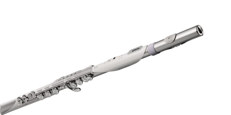 roland-aerophone-brisa-_0002.jpg