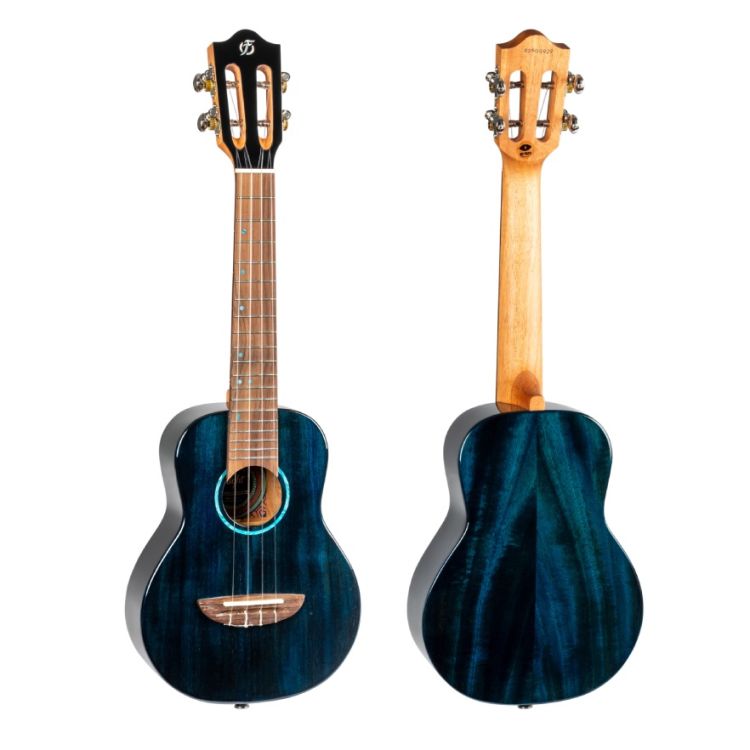 ukulele-de-concert-flight-modele-iris-tinta-c-tdb-_0002.jpg