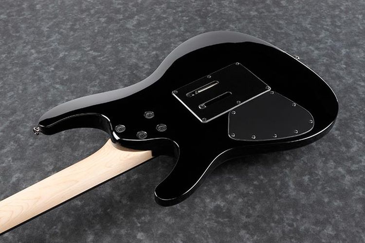 e-gitarre-ibanez-modell-_0003.jpg