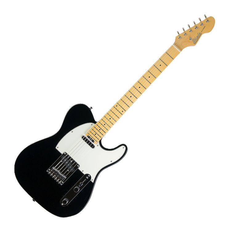 e-gitarre-blade-modell-t-1-delta-standard-black-_0001.jpg