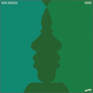 synonym-ndegeocello-meshell-blue-note-lp-analog_0001.JPG