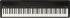 digital-piano-roland-modell-fp-40-schwarz_0003.jpg