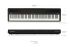 digital-piano-roland-modell-fp-40-schwarz_0006.jpg
