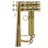 b-trompete-carol-brass-junior-lackiert-gold-_0005.jpg