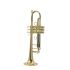 b-trompete-carol-brass-advanced-lackiert-gold-_0001.jpg