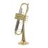 b-trompete-carol-brass-up-lackiert-gold-_0004.jpg