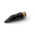 selmer-echo-_0002.jpg