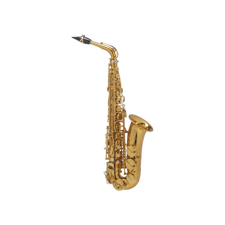 alt-saxophon-selmer-supreme-lackiert-gold_0002.jpg