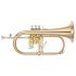 fluegelhorn-yamaha-yfh-8315-g-lackiert-gold-_0001.jpg