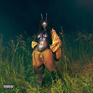 sos-deluxe-lana-sza-lp-analog-_0001.JPG