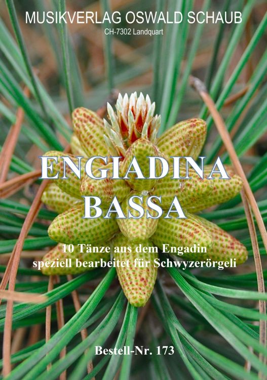 engiadina-bassa-schworg_0001.jpg