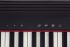 keyboard-roland-modell-go-piano-61-keys-schwarz-_0005.jpg