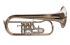 fluegelhorn-oberrauch-meinlschmidt-lackiert-gold-_0001.jpg