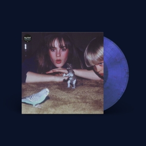 masterpiece-big-thief-4-ad-lp-analog-_0001.JPG