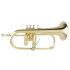 fluegelhorn-yamaha-yfh-8310z-lackiert-gold-_0001.jpg