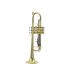 b-trompete-carol-brass-basic-lackiert-gold-_0001.jpg