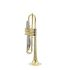 b-trompete-carol-brass-basic-lackiert-gold-_0004.jpg