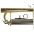 b-trompete-carol-brass-basic-lackiert-gold-_0006.jpg