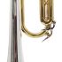 b-trompete-carol-brass-mariachi-lackiert-gold-_0005.jpg