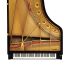 fluegel-steinway--sons-modell-d-274-schwarz-polier_0002.jpg