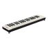 melodica-yamaha-p-37ebk2-black_0003.jpg