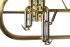 fluegelhorn-carol-brass-gold-satiniert-gold-_0006.jpg