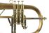 fluegelhorn-carol-brass-gold-satiniert-gold-_0007.jpg