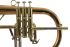 fluegelhorn-carol-brass-rose-lackiert-_0008.jpg