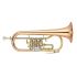 fluegelhorn-yamaha-yfh-436-g-lackiert-gold-_0001.jpg