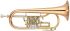 fluegelhorn-yamaha-yfh-436-g-lackiert-gold-_0002.jpg