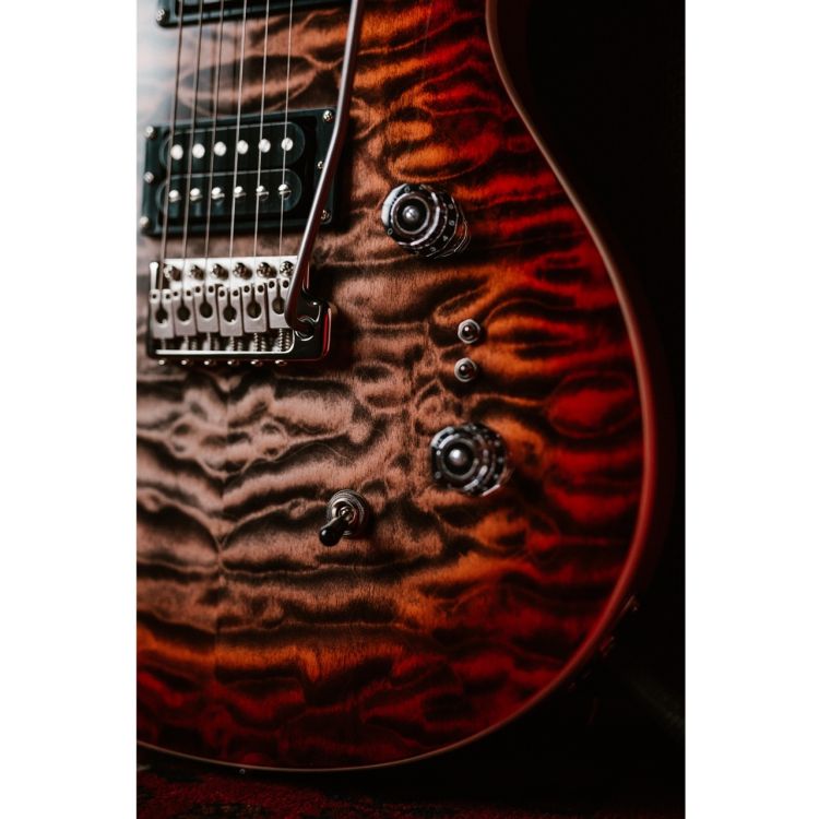 guitare-electrique-paul-reed-smith-modele-se-custo_0003.jpg