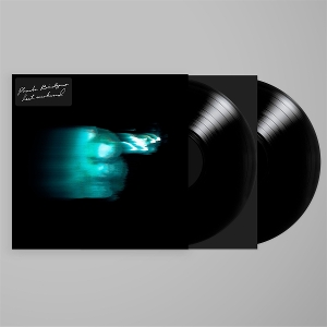 lost-weekend-bridgers-phoebe-lp-analog_0001.JPG
