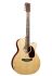 westerngitarre-martin-guitar-modell-gpc-13e-modern_0001.jpg