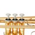 bb-cornet-yamaha-ycr-4330-gii-lackiert-gold-_0002.jpg