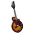 mandoline-kentucky-modell-km-300e-sunburst-_0001.jpg