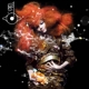 biophilia-bjork-one-little-independent-mc-analog-_0001.JPG