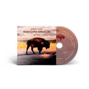 saving-grace-plant-robert-nonesuch-cd_0002.JPG
