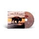 saving-grace-plant-robert-nonesuch-cd_0002.JPG