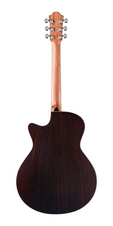 guitare-folk-furch-modele-spectra-plus-gc-er-eas-v_0002.jpg