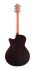 guitare-folk-furch-modele-spectra-plus-gc-er-eas-v_0002.jpg