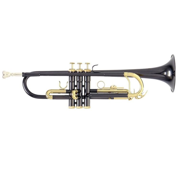 trumpet-in-bb-roy-benson-tr-101k-anthrazit-lacquer_0001.jpg